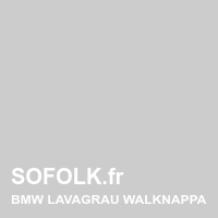 BMW leather seat shade