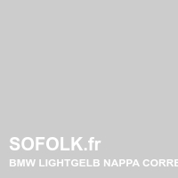 BMW leather seat shade