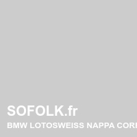 BMW leather seat shade