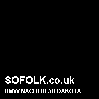Leather seat color BMW