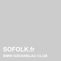 BMW leather seat shade