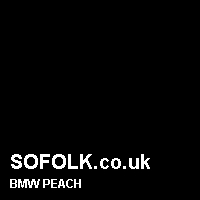 Leather seat color BMW