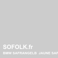 BMW leather seat shade