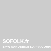 BMW leather seat shade