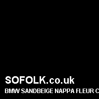 Leather seat color BMW