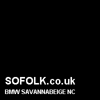 Leather seat color BMW