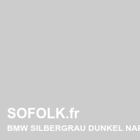 BMW leather seat shade