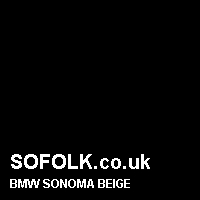 Leather seat color BMW