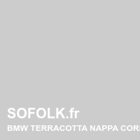 BMW leather seat shade