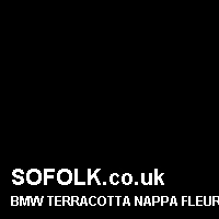 Leather seat color BMW