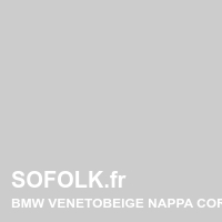 BMW leather seat shade