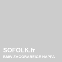 BMW leather seat shade
