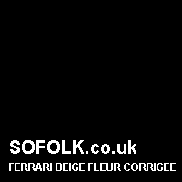 Leather seat color FERRARI