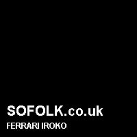 Leather seat color FERRARI