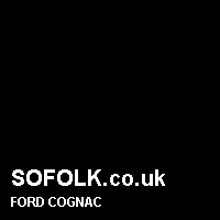 Leather seat color FORD