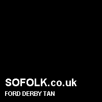 Leather seat color FORD