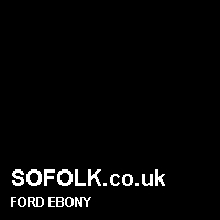 Leather seat color FORD