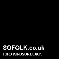 Leather seat color FORD