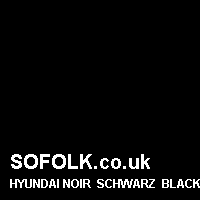 Leather seat color HYUNDAI