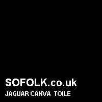 Leather seat color JAGUAR