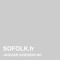 Leather seat color JAGUAR