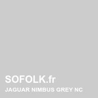 Leather seat color JAGUAR