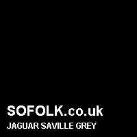 Leather seat color JAGUAR