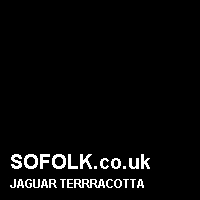 Leather seat color JAGUAR