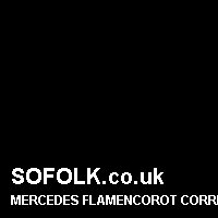 Leather seat color MERCEDES