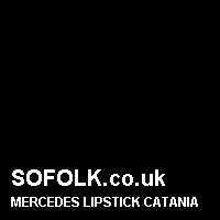 Leather seat color MERCEDES