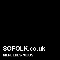 Leather seat color MERCEDES