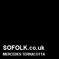 Leather seat color MERCEDES