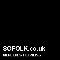 Leather seat color MERCEDES