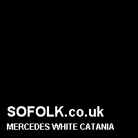 Leather seat color MERCEDES