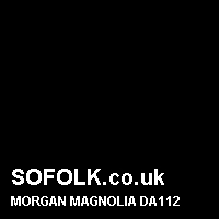 Leather seat color MORGAN