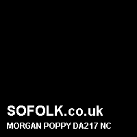 Leather seat color MORGAN