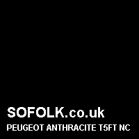 Leather seat color PEUGEOT