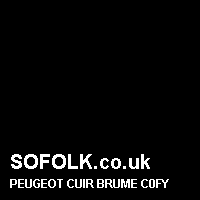 Leather seat color PEUGEOT