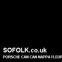Leather seat color PORSCHE