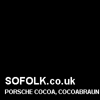 Leather seat color PORSCHE