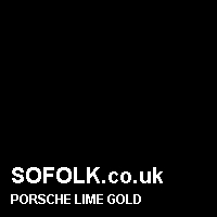 Leather seat color PORSCHE