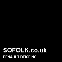 Leather seat color RENAULT