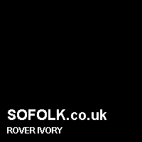 Leather seat color ROVER