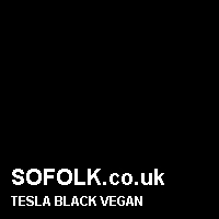 Leather seat color TESLA