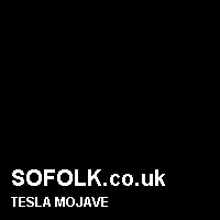 Leather seat color TESLA
