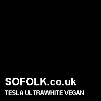 Leather seat color TESLA