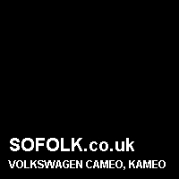 Leather seat color VOLKSWAGEN