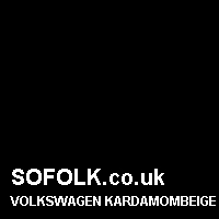 Leather seat color VOLKSWAGEN