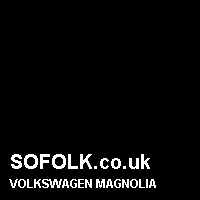 Leather seat color VOLKSWAGEN