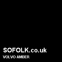 Leather seat color VOLVO